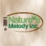 Вятърен звънец - Premier Grande Tunes, 70 см., сребристо