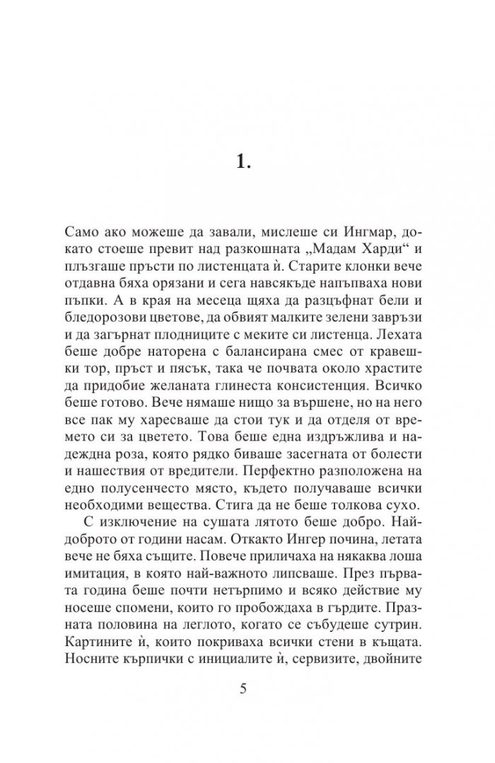 Дъждовният човек