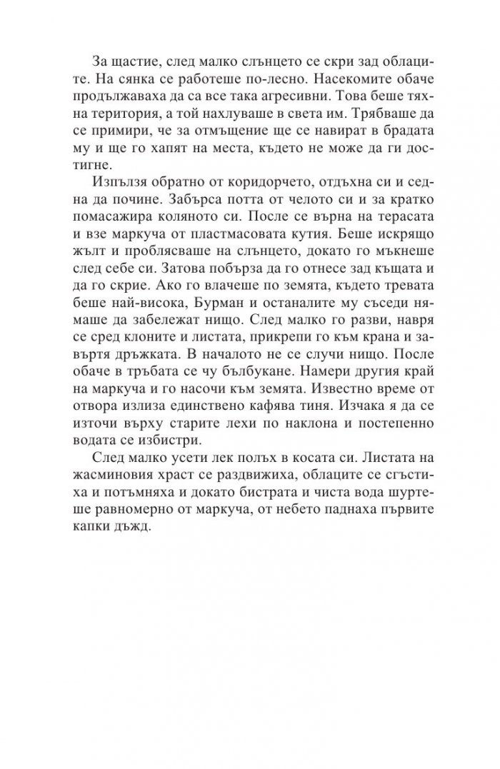 Дъждовният човек