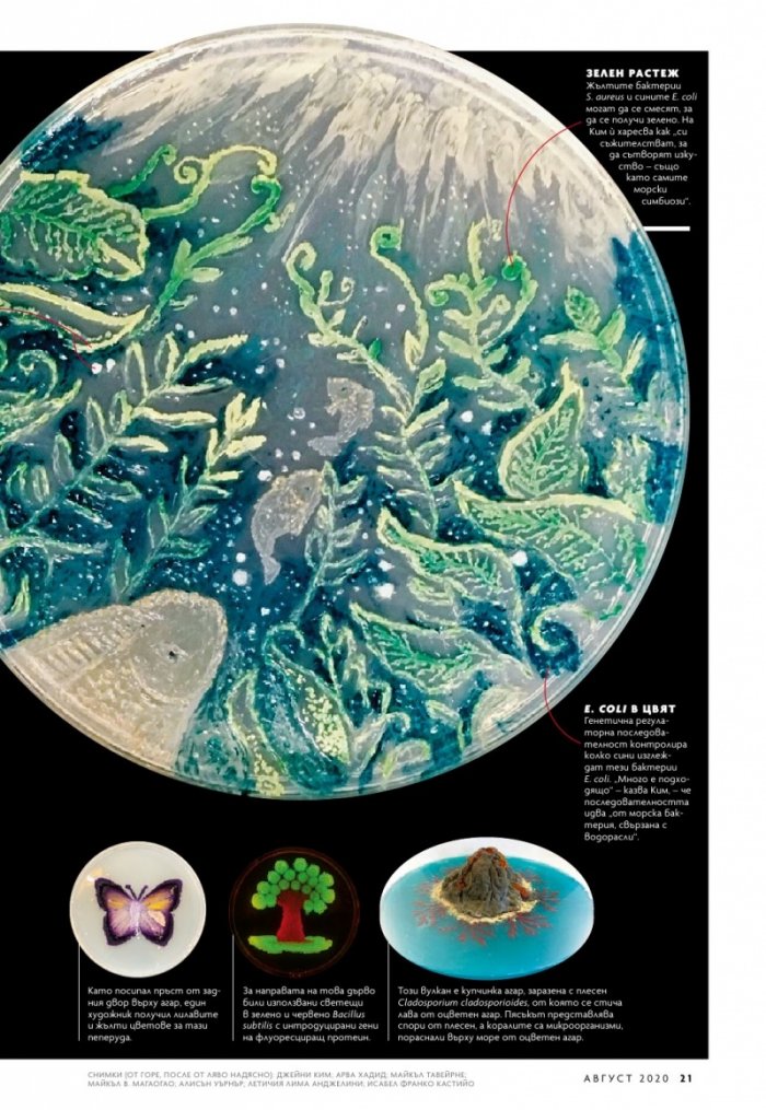 National Geographic България 8/2020