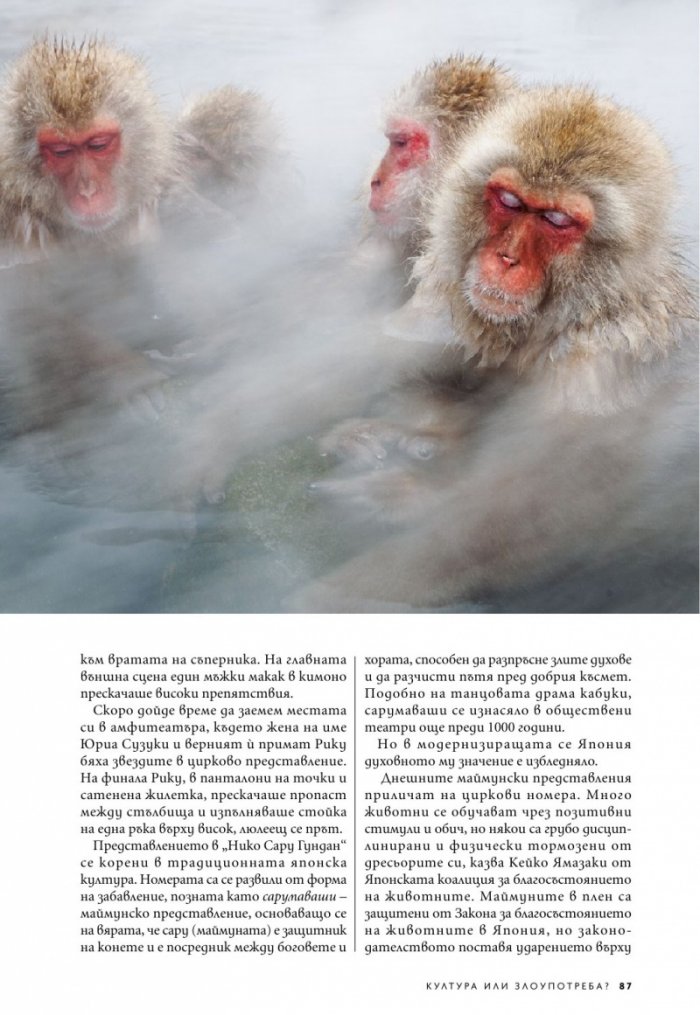 National Geographic България 8/2020