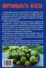 Щитовидната жлеза. Тайният страж на нашия организъм