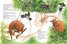 Мама Муу се люлее