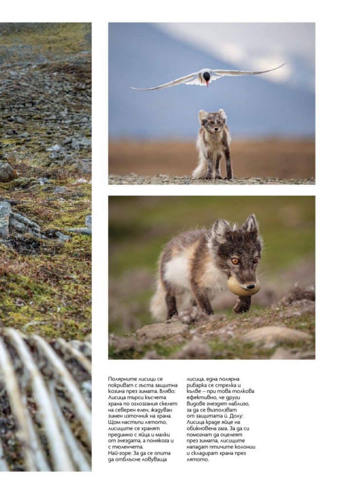 National Geographic България Май/2023