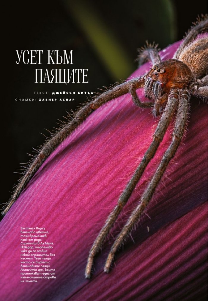 National Geographic България Май/2023