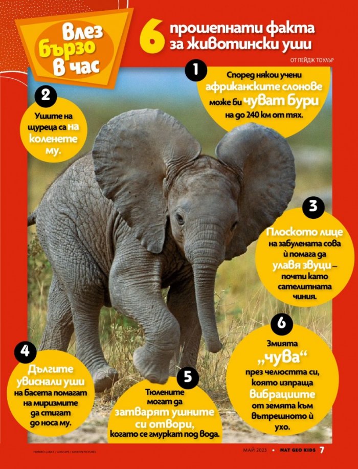 National Geographic KIDS България Май/2023