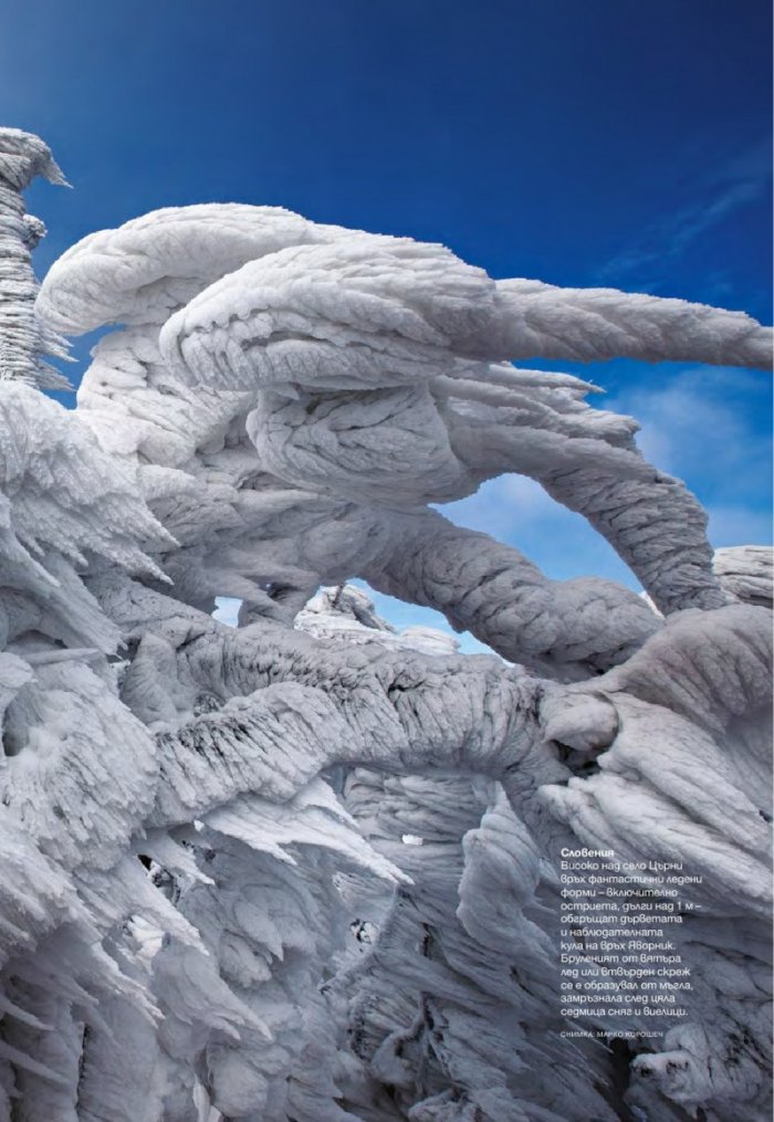 National Geographic България 12/2016
