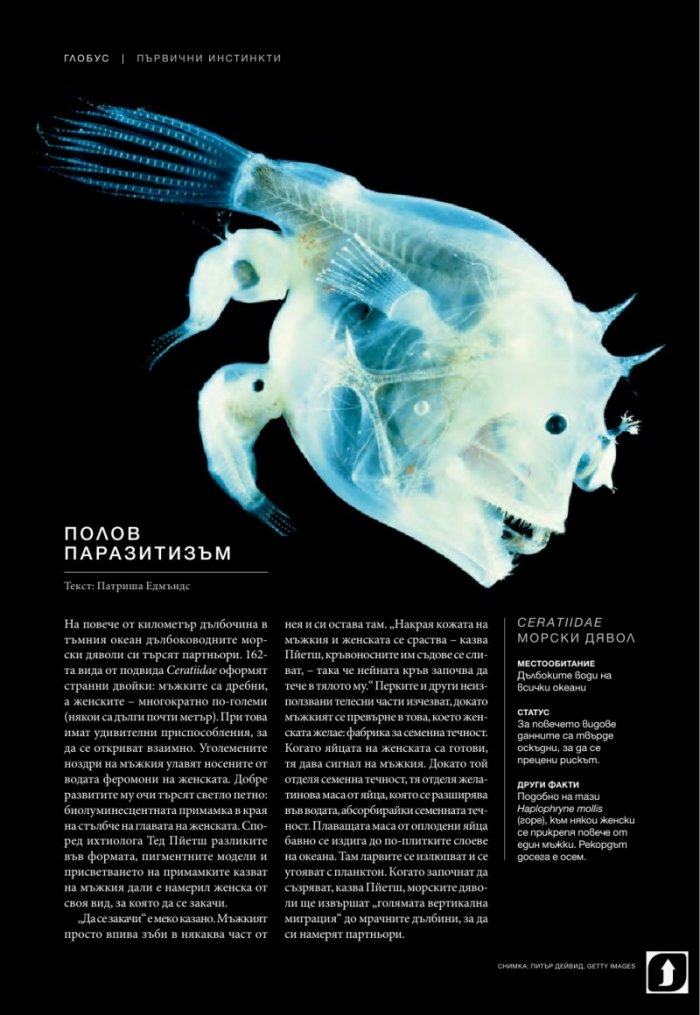 National Geographic България 12/2016