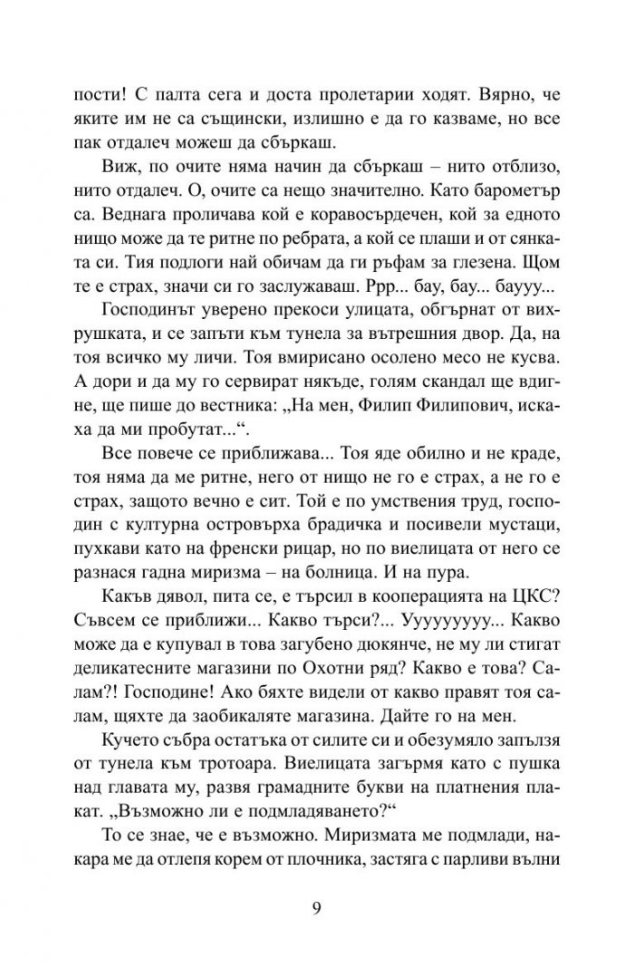 Кучешко сърце