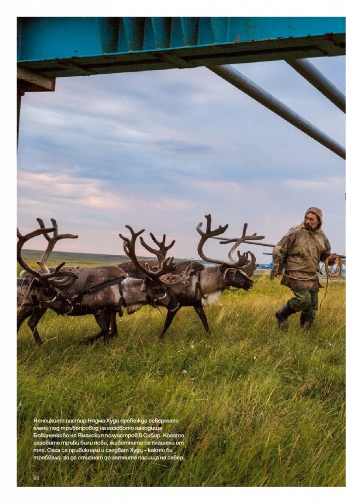 National Geographic България 11/2017