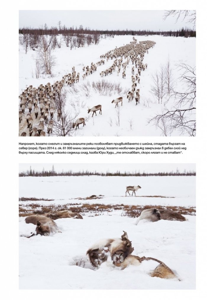 National Geographic България 11/2017