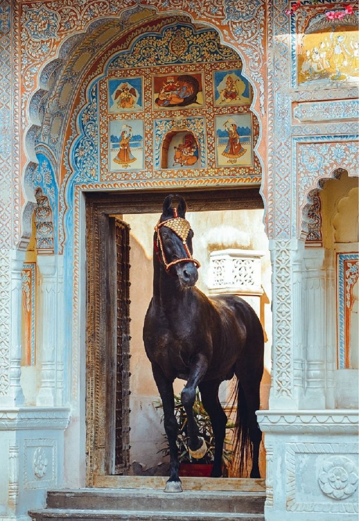National Geographic България 11/2017