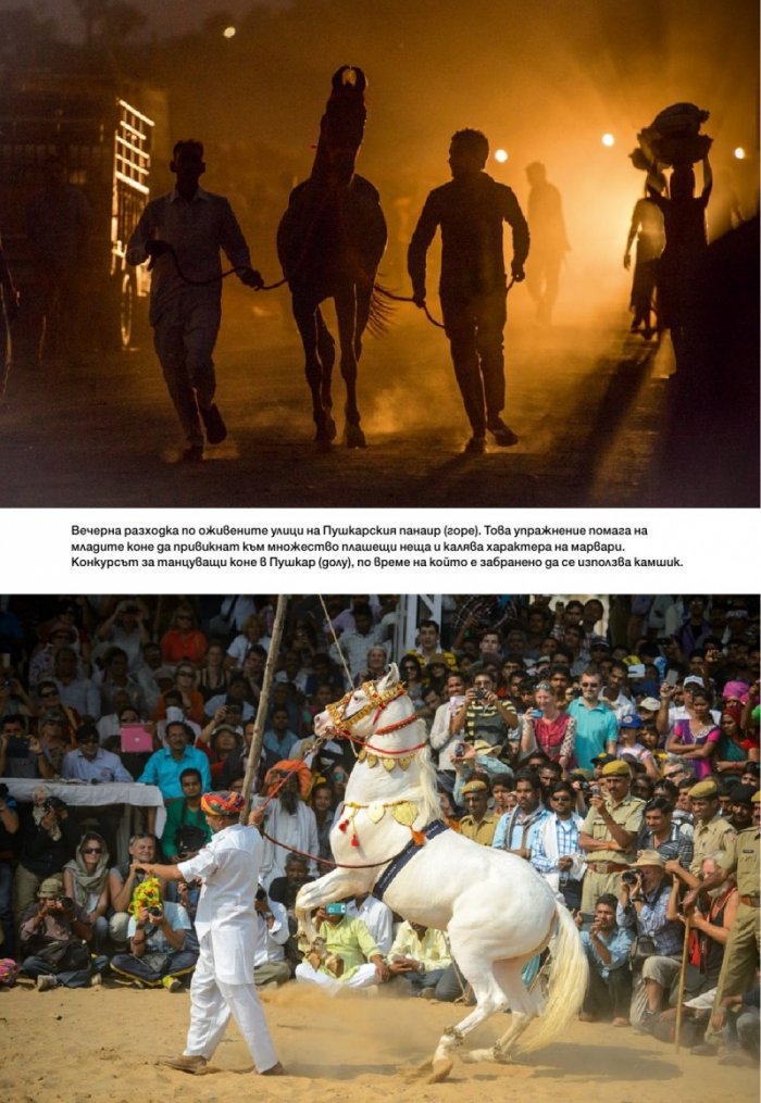 National Geographic България 11/2017
