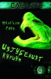 Изгубеният куршум
