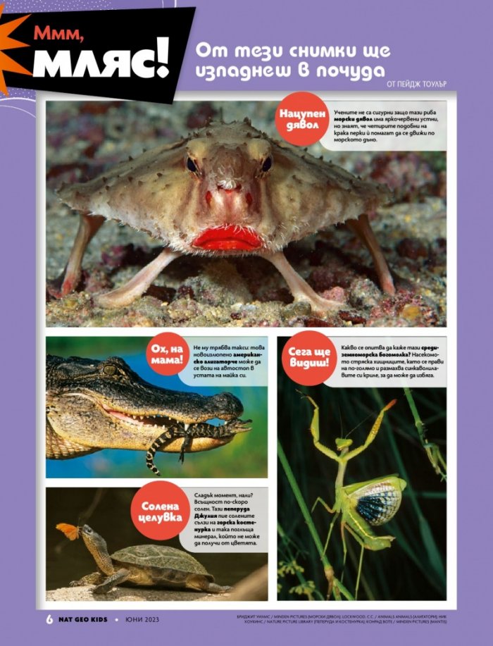 National Geographic KIDS България Юни/2023