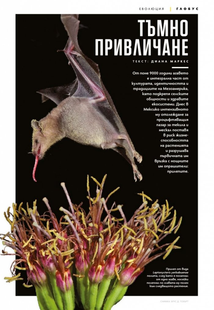 National Geographic България Юли/2023