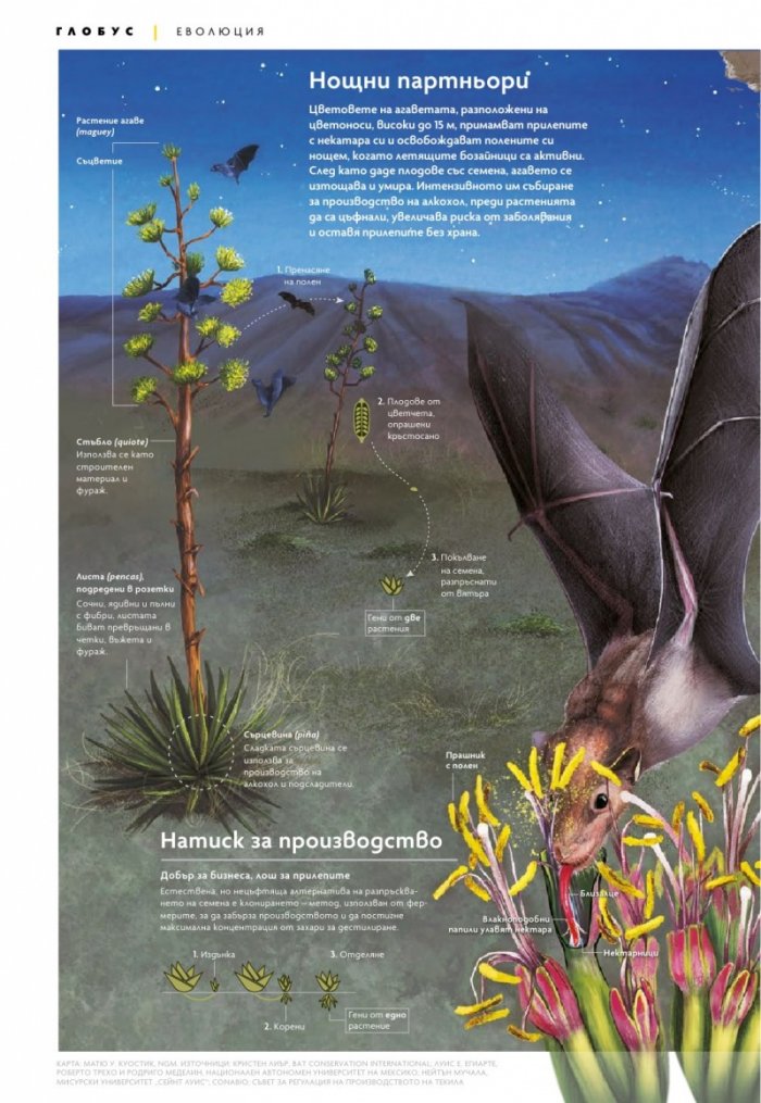 National Geographic България Юли/2023