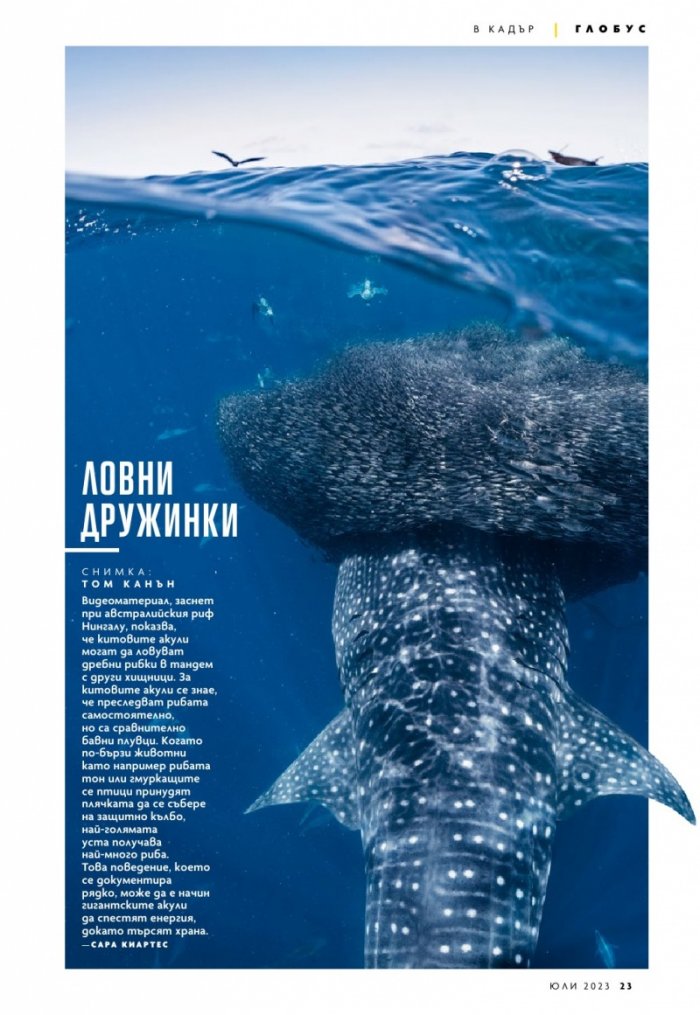 National Geographic България Юли/2023