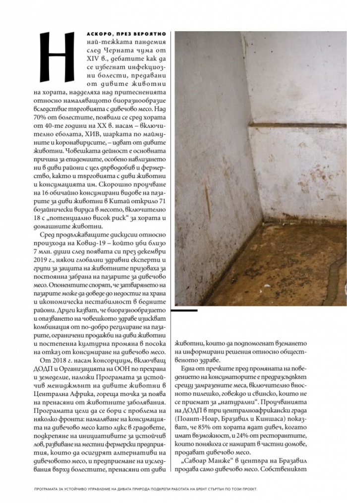 National Geographic България Юли/2023