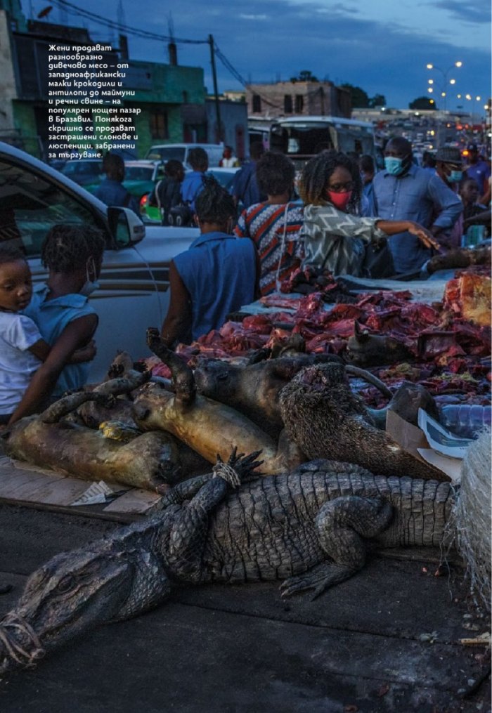 National Geographic България Юли/2023