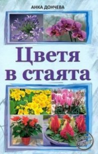 Цветя в стаята