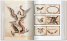 TATTOO. 1730s-1970s. Henk Schiffmacher’s Private Collection