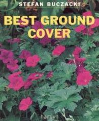 Best Ground Cover
