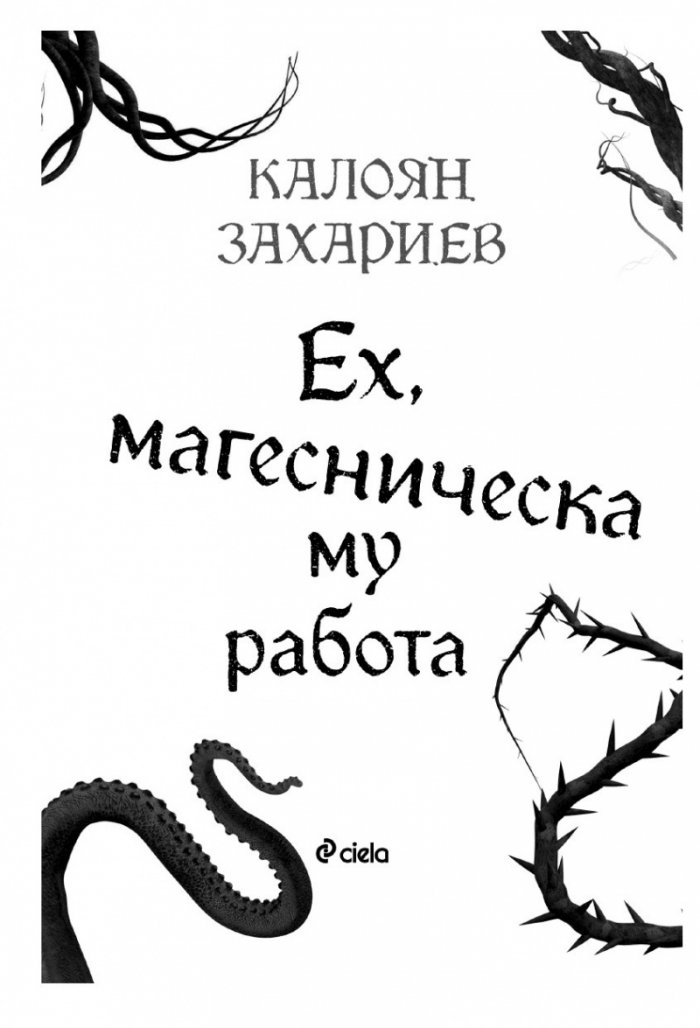 Ех, магесническа му работа