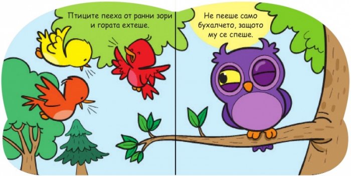 Бухалчето Бухи
