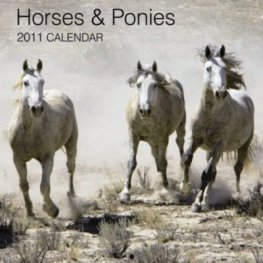 Calendar 2011: Horses & Ponies