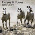 Calendar 2011: Horses & Ponies