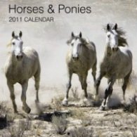 Calendar 2011: Horses & Ponies