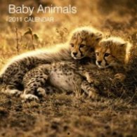Calendar 2011: Baby Animals