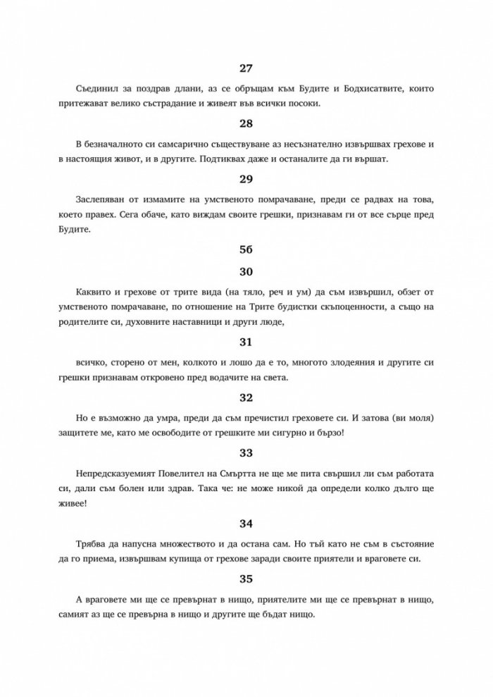 Пътят на Бодхисатва