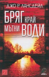 Бряг край мътни води