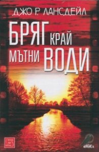 Бряг край мътни води