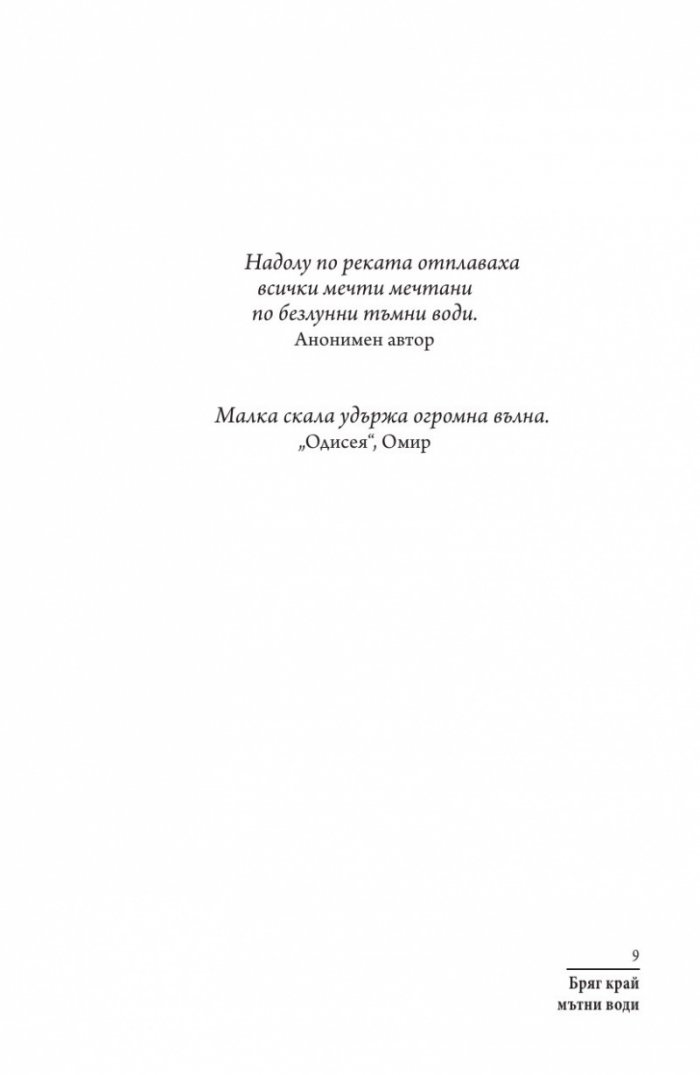 Бряг край мътни води