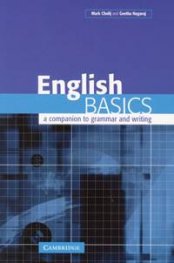 English Basics a companion to grammar and writing
