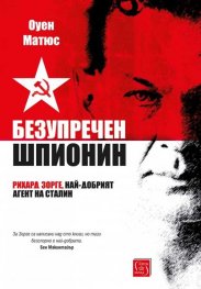 Безупречен шпионин (твърда корица)