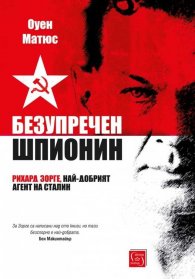 Безупречен шпионин (твърда корица)