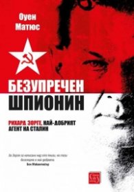Безупречен шпионин (твърда корица)