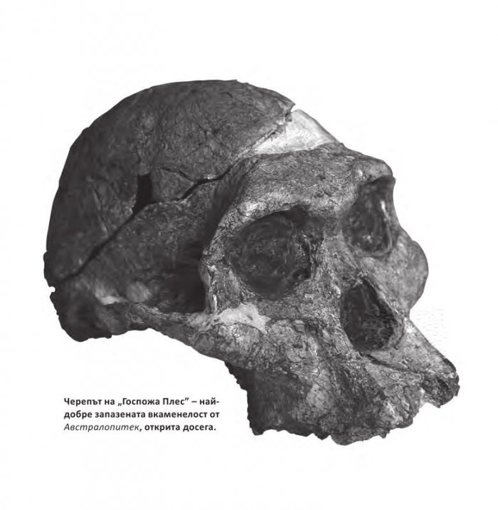 Световната история накратко (200 ключови събития, променили света)