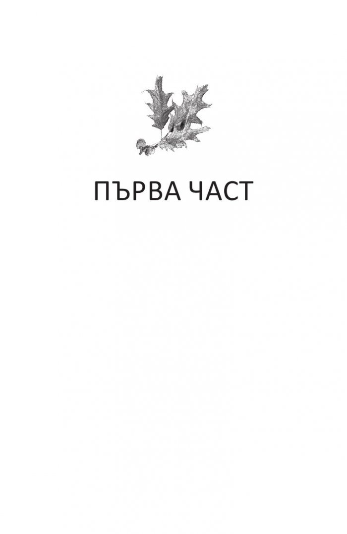 Хубав квартал