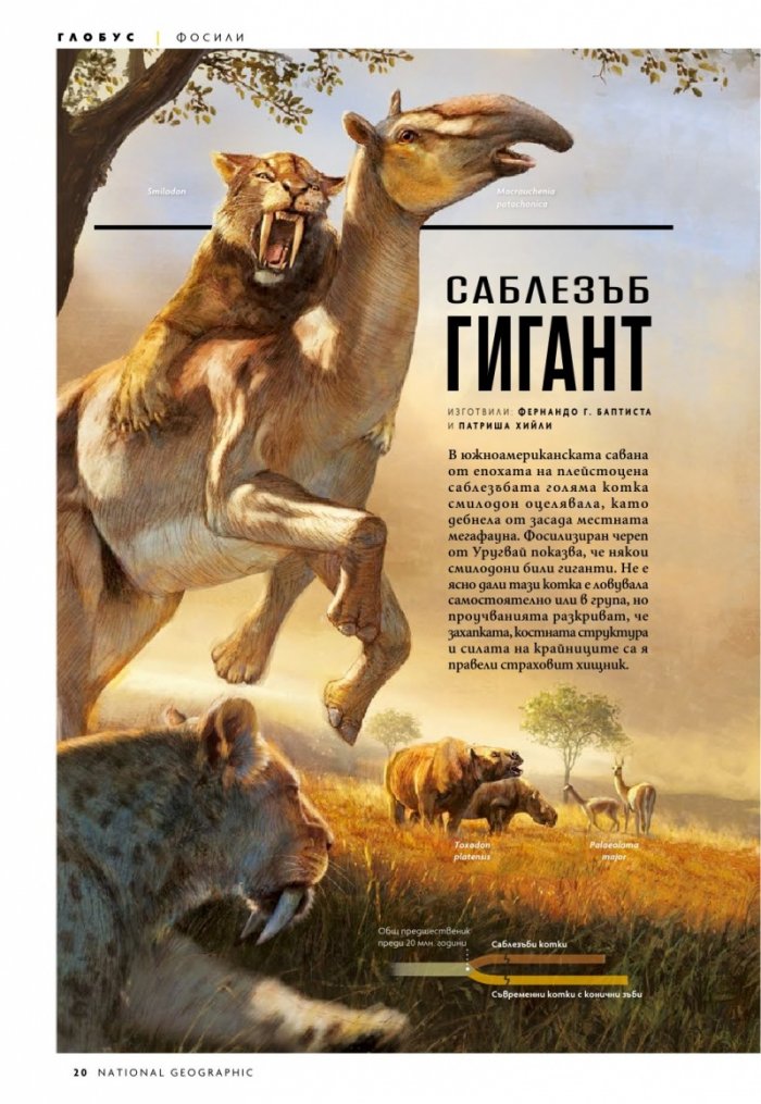 National Geographic България Февруари/2021