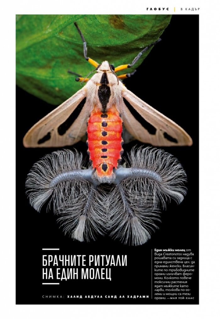 National Geographic България Февруари/2021