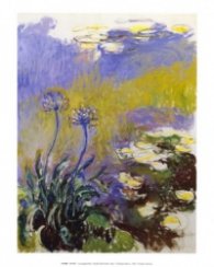 Les agapantthes / Monet