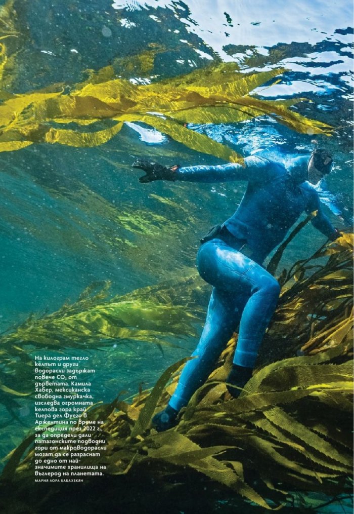 National Geographic България Ноември/2023