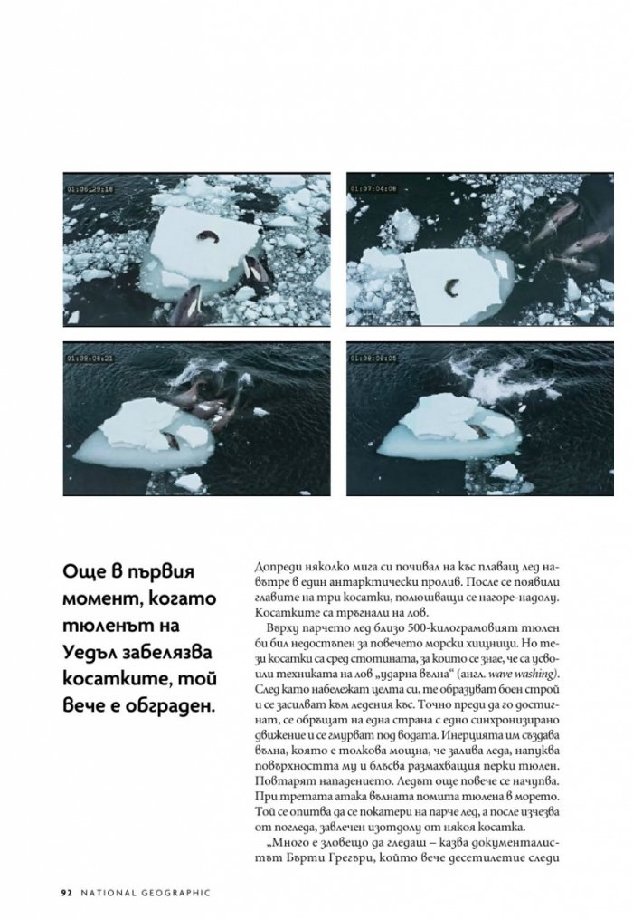 National Geographic България Ноември/2023