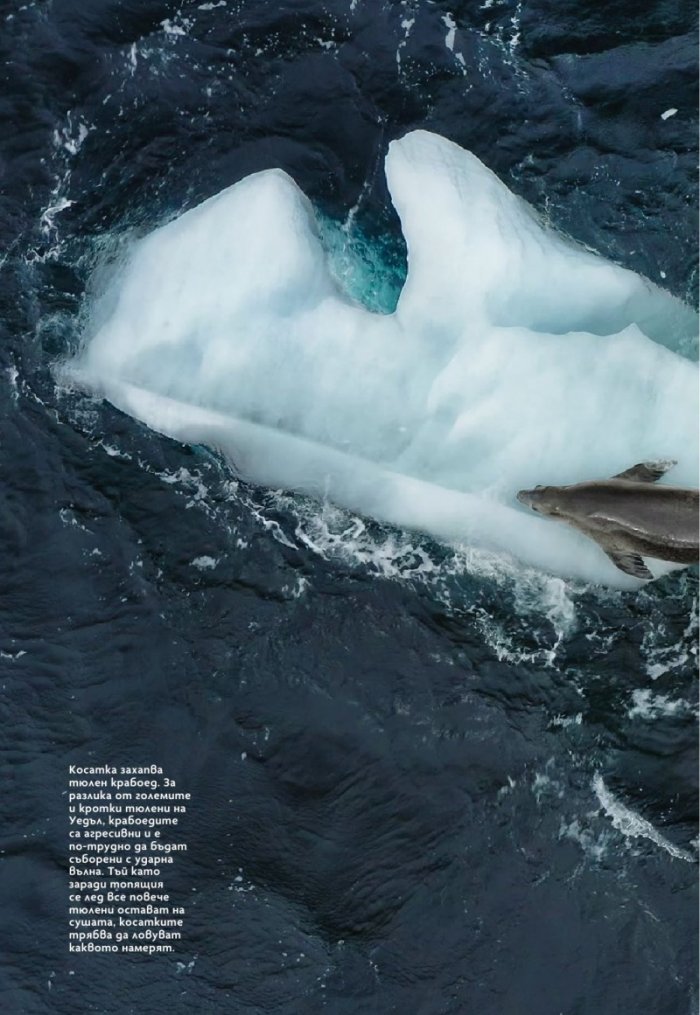 National Geographic България Ноември/2023