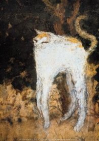Le chat blanc / Bonnard